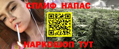 прущие грибы Ирбит