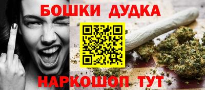 индика Изобильный