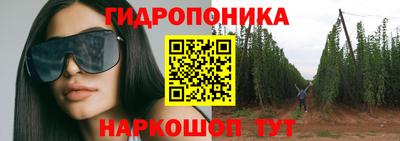 индика Изобильный