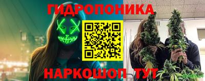 индика Изобильный
