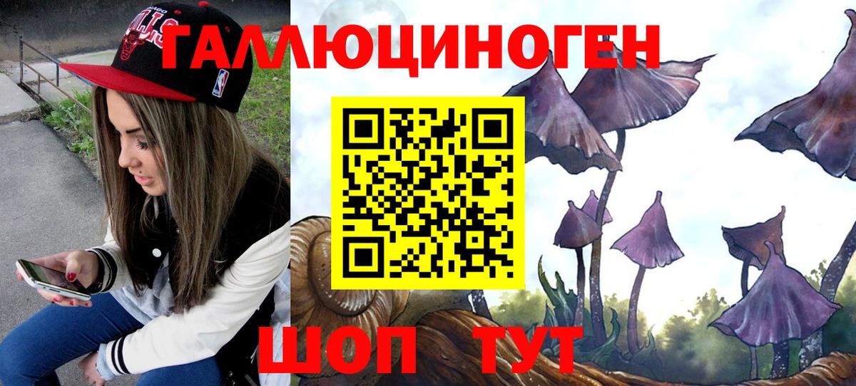 как найти   Вход с VPN  Кувандык  Галлюциногенные грибы Psilocybine cubensis  Псилоцибиновые грибы прущие грибы 